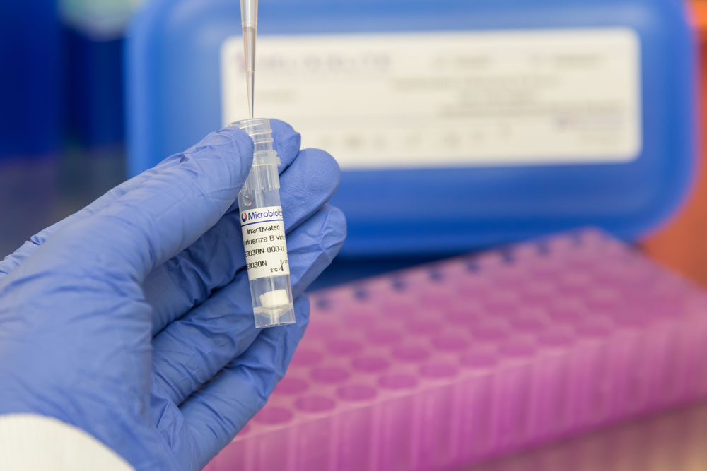 ATCC7469干酪乳桿菌（Lactobacillus casei）(鼠李糖乳桿-C3