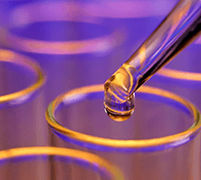 ATCC10231白色念珠菌-C3