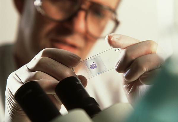 3M檢測片發(fā)往西安食品實驗室