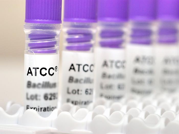 ATCC菌株
